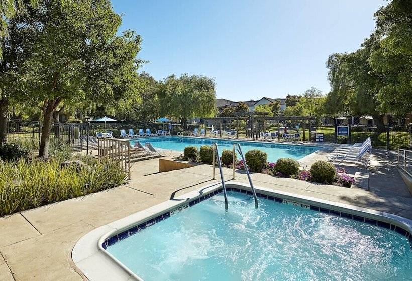 酒店 Four Points By Sheraton Pleasanton