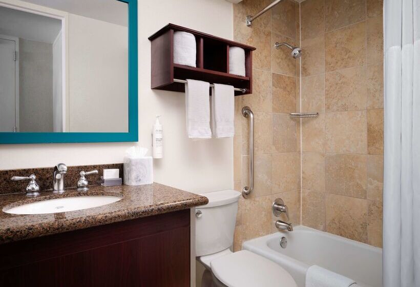 هتل Hampton Inn Chicago Downtown/magnificent Mile