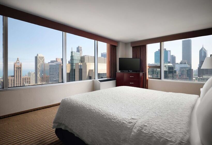 هتل Hampton Inn Chicago Downtown/magnificent Mile