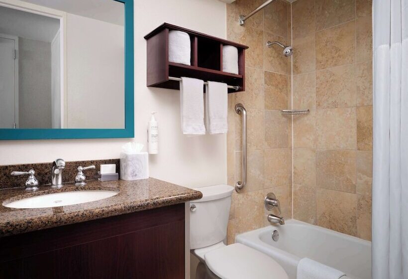 هتل Hampton Inn Chicago Downtown/magnificent Mile