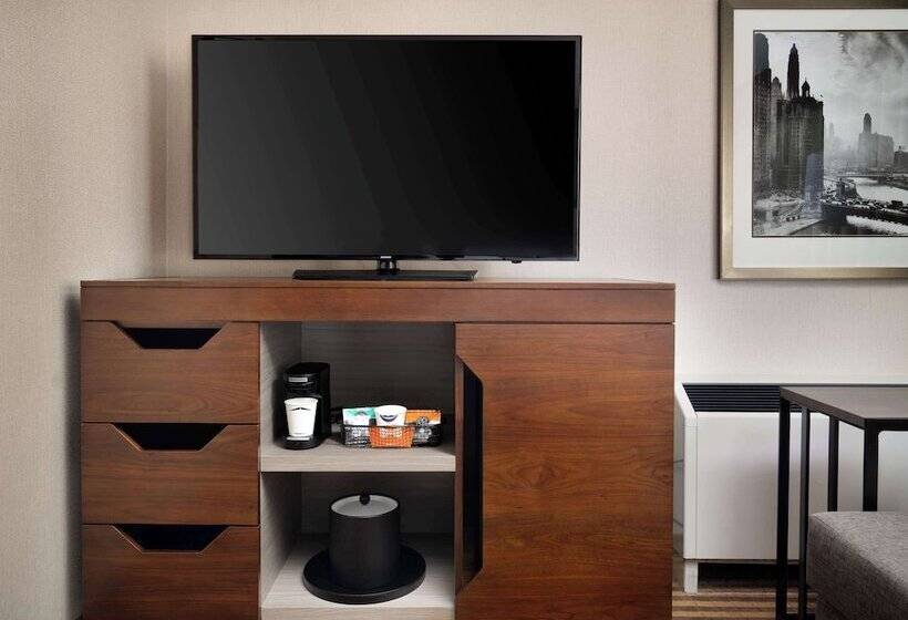 هتل Hampton Inn Chicago Downtown/magnificent Mile