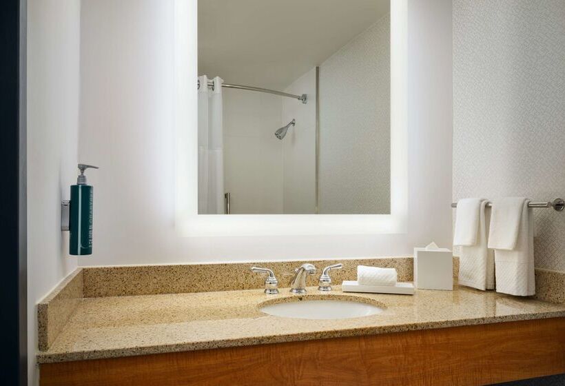 فندق Hilton Atlanta