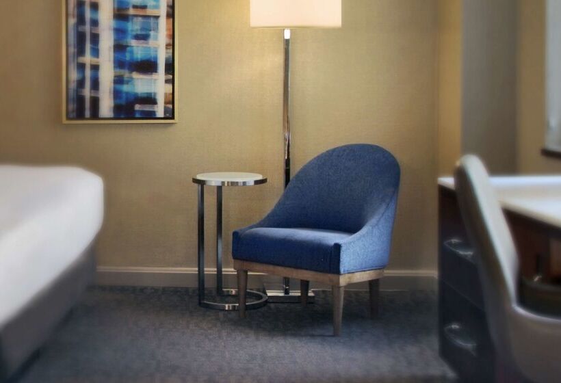 בית מלון כפרי Hilton Chicago