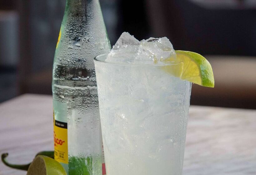 בית מלון כפרי Hilton Chicago