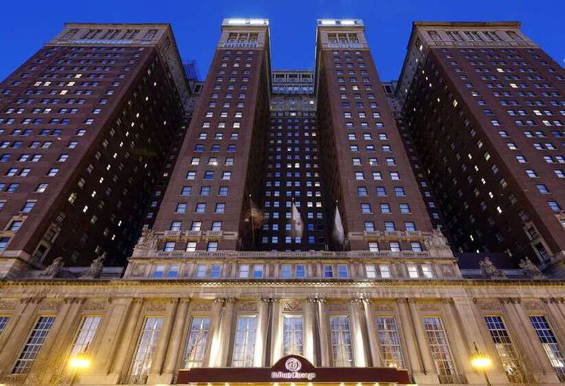 בית מלון כפרי Hilton Chicago