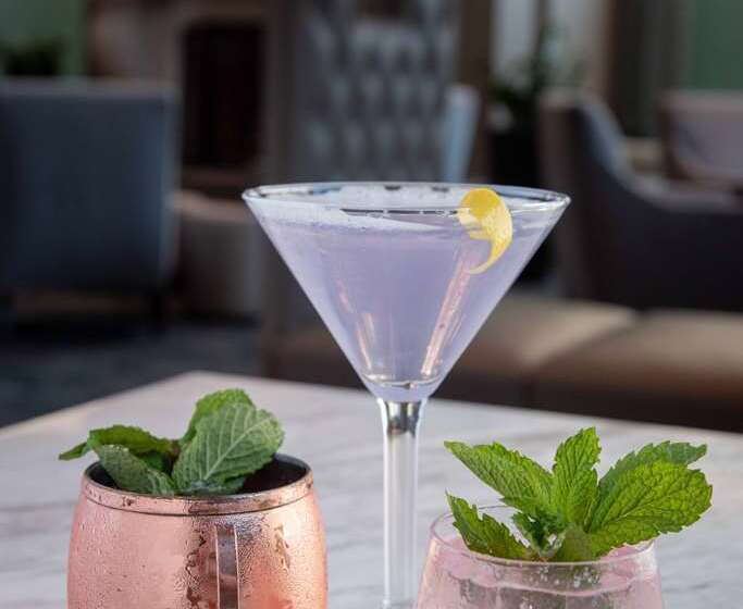 בית מלון כפרי Hilton Chicago