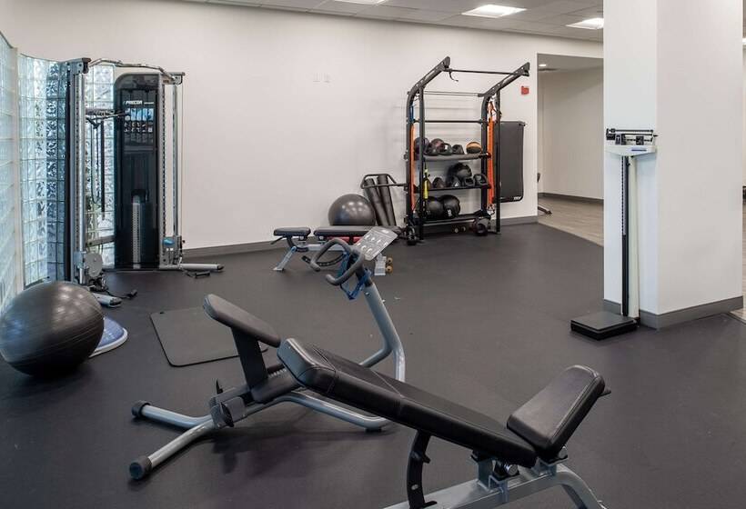 هتل Hilton St. Louis Airport