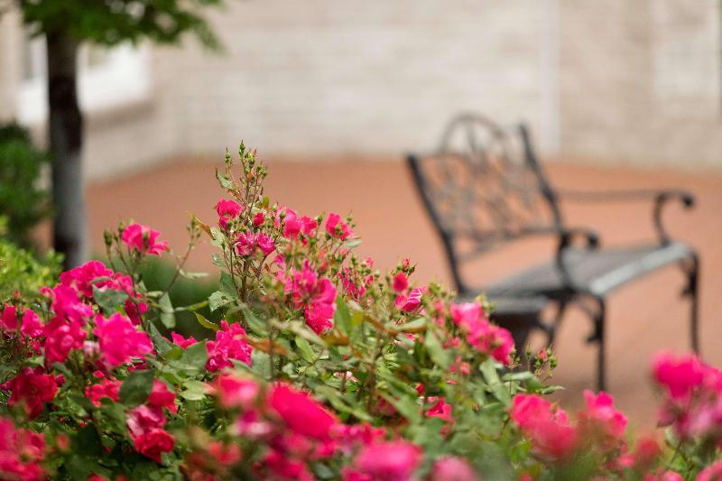 هتل Hilton St. Louis Frontenac