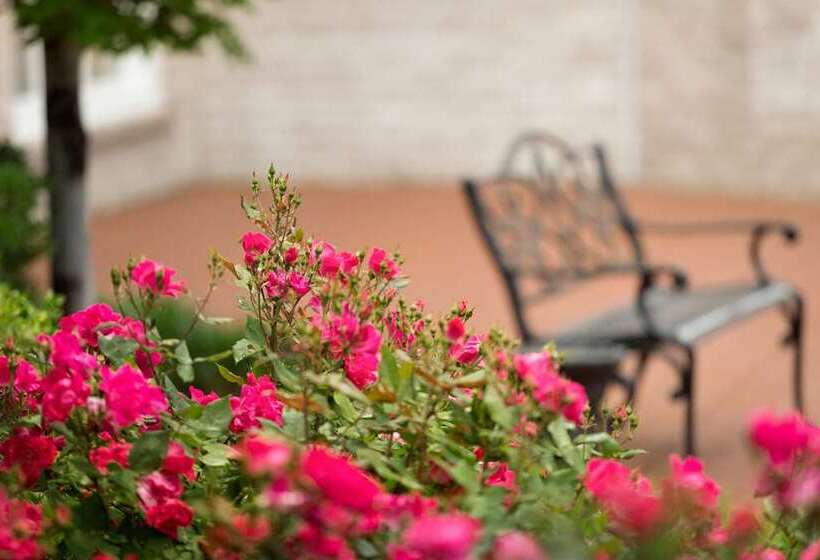 בית מלון כפרי Hilton St. Louis Frontenac