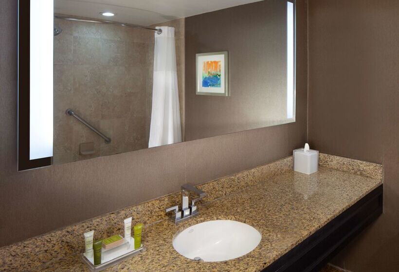 ホテル Hilton St. Petersburg Bayfront