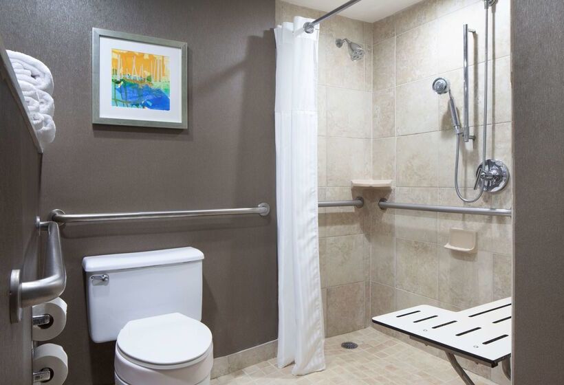 فندق Hilton St. Petersburg Bayfront