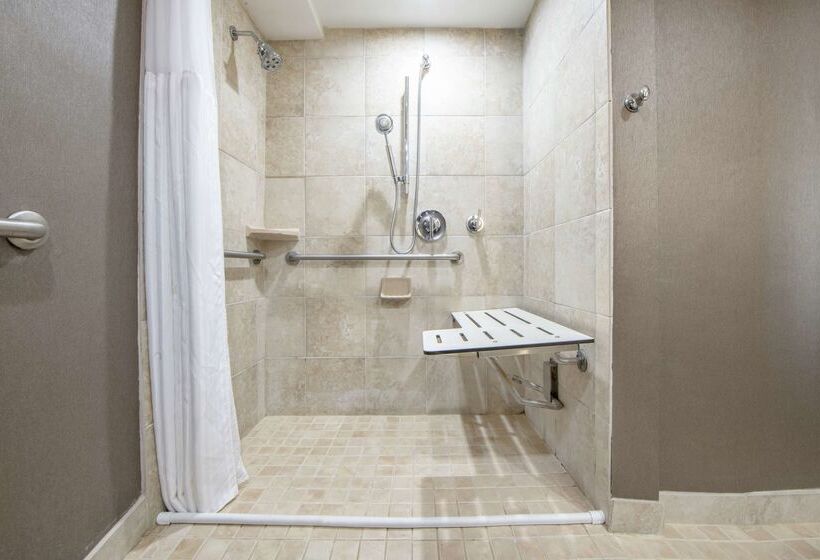 ホテル Hilton St. Petersburg Bayfront