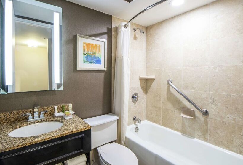 ホテル Hilton St. Petersburg Bayfront