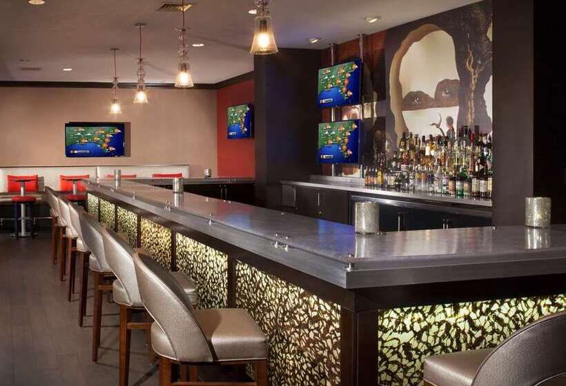 ホテル Hilton St. Petersburg Bayfront