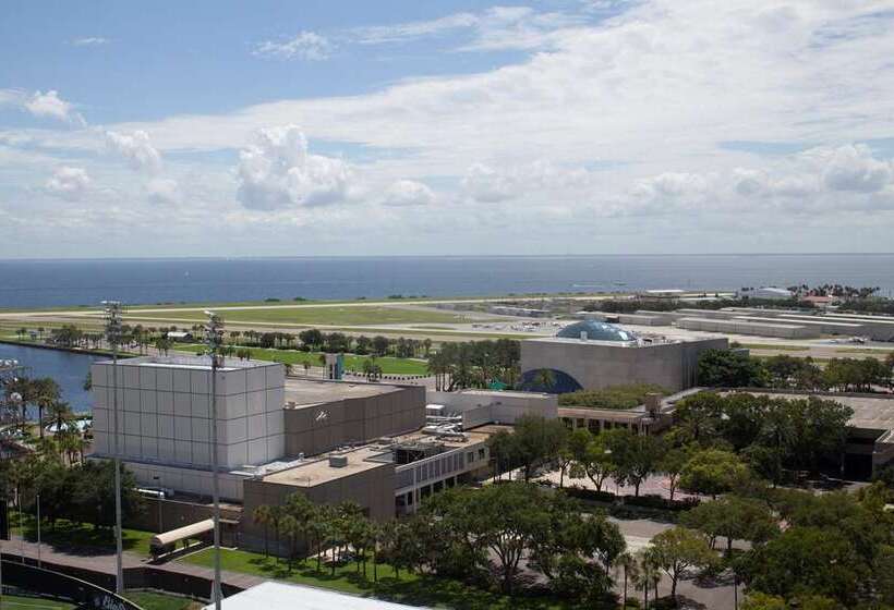 ホテル Hilton St. Petersburg Bayfront