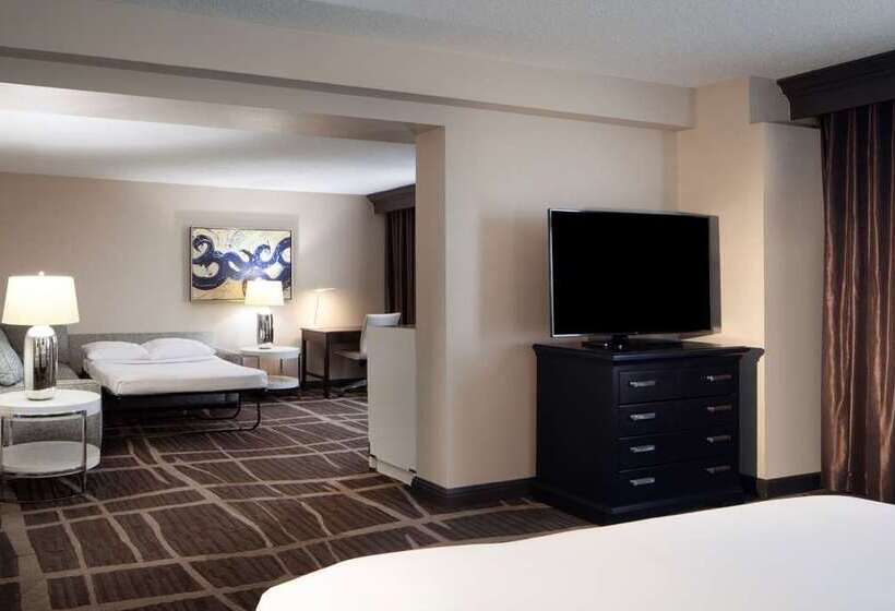 ホテル Hilton St. Petersburg Bayfront