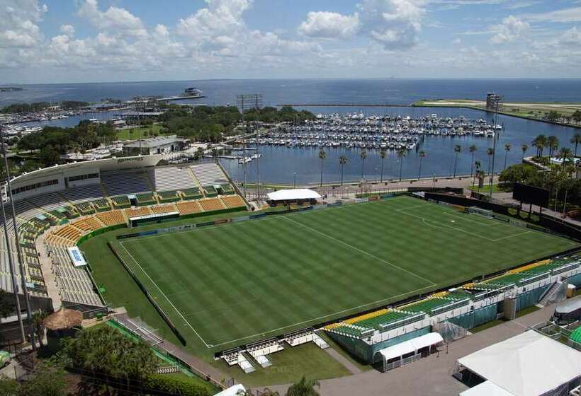 ホテル Hilton St. Petersburg Bayfront