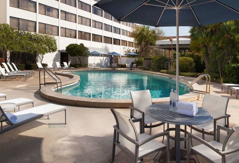 בית מלון כפרי Hilton Tampa Airport Westshore