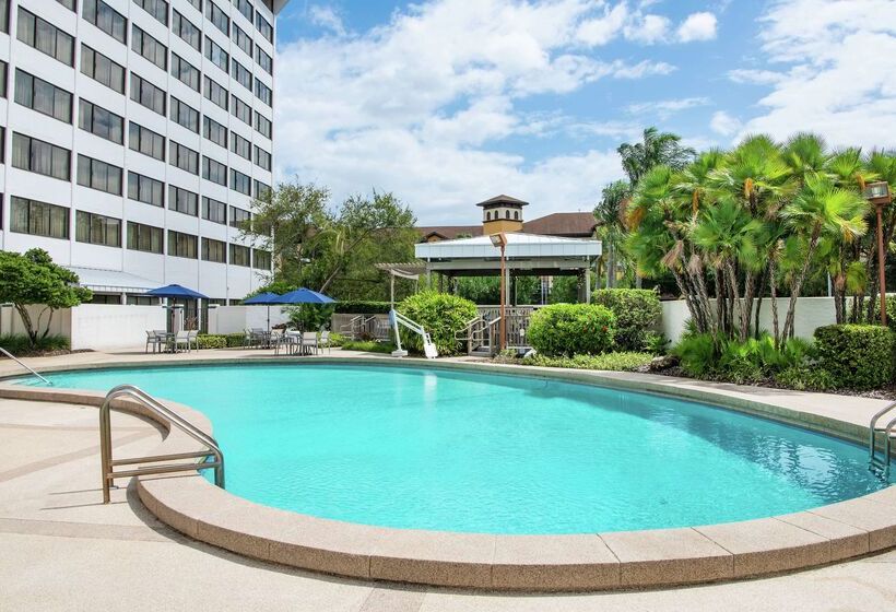 בית מלון כפרי Hilton Tampa Airport Westshore