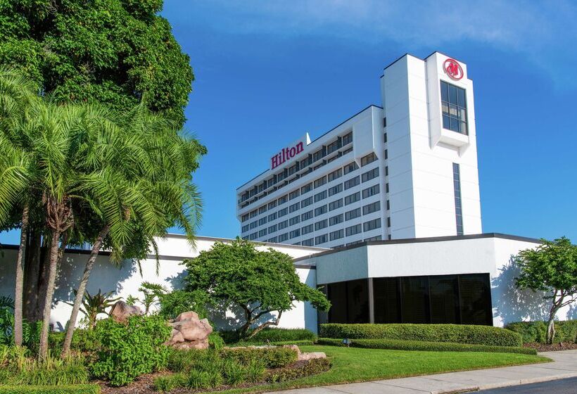 فندق Hilton Tampa Airport Westshore