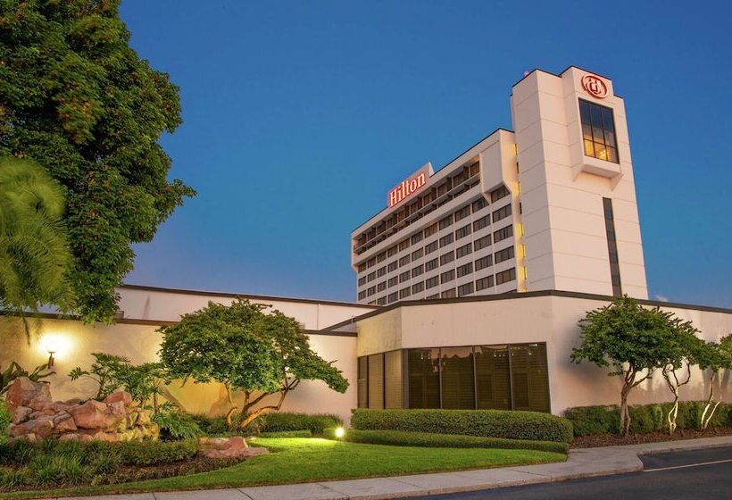 בית מלון כפרי Hilton Tampa Airport Westshore