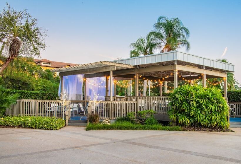 בית מלון כפרי Hilton Tampa Airport Westshore