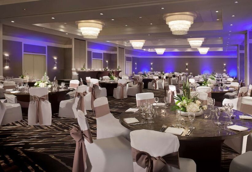 בית מלון כפרי Hilton Tampa Airport Westshore