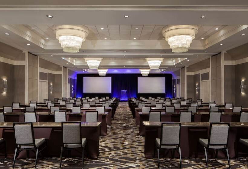 בית מלון כפרי Hilton Tampa Airport Westshore