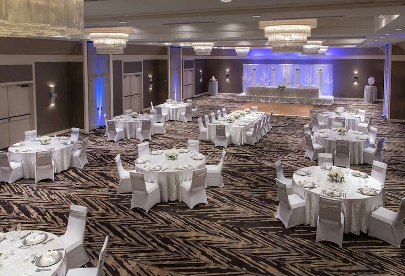 בית מלון כפרי Hilton Tampa Airport Westshore