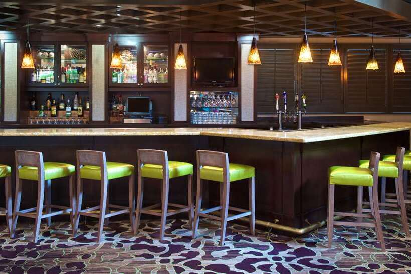 בית מלון כפרי Hilton Tampa Airport Westshore