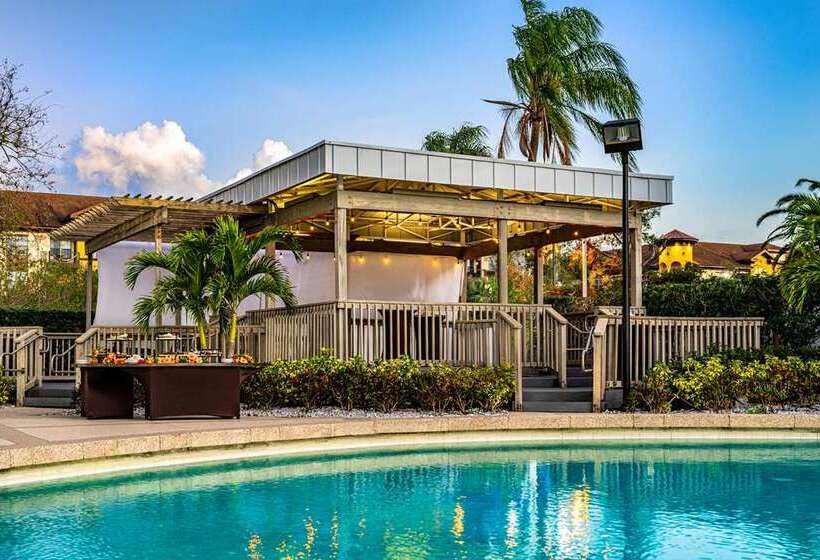 בית מלון כפרי Hilton Tampa Airport Westshore