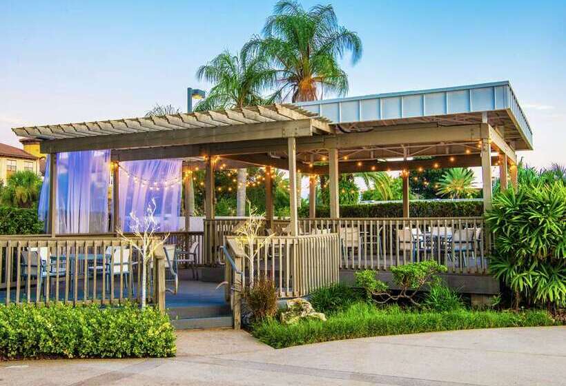 בית מלון כפרי Hilton Tampa Airport Westshore