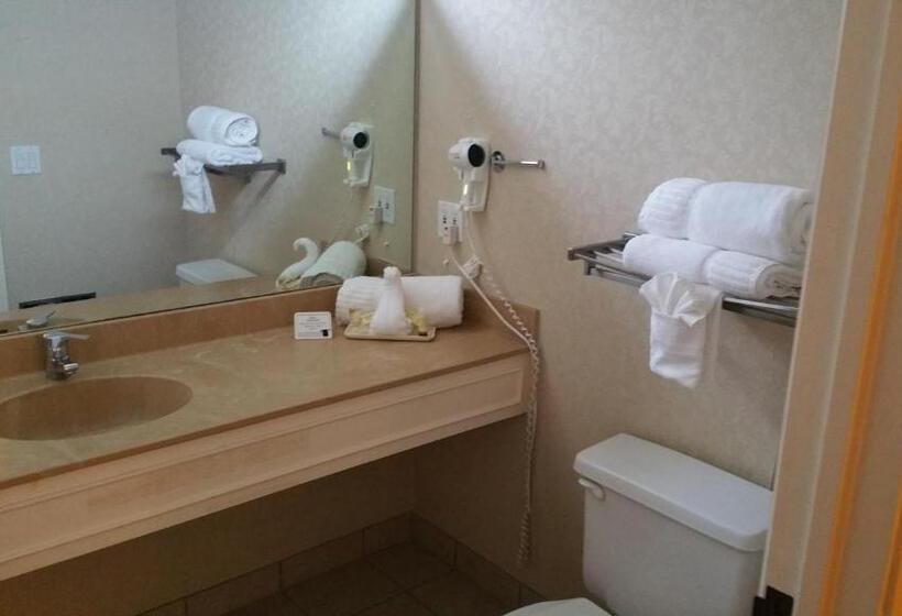 Imperial Swan Hotel And Suites Lakeland