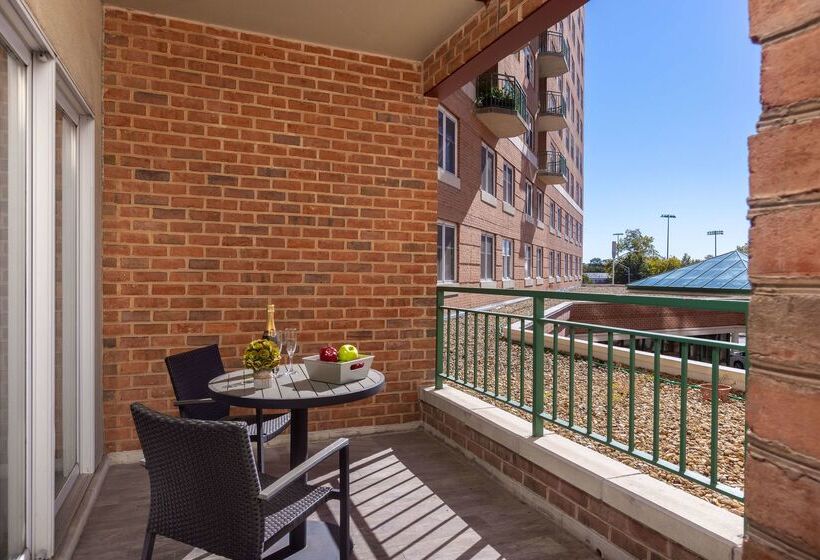 酒店 Inn At The Colonnade Baltimore A Doubletree By Hilton