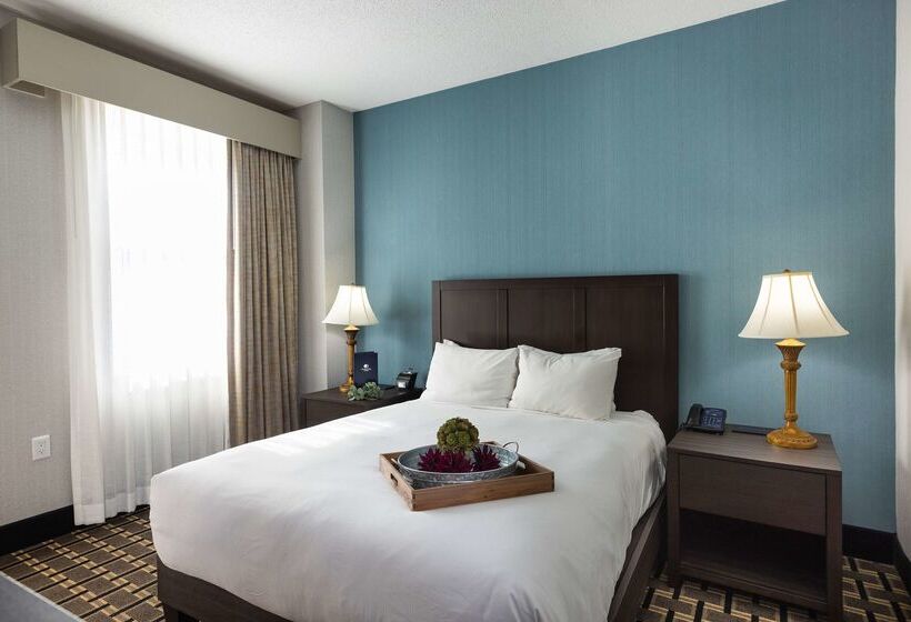 酒店 Inn At The Colonnade Baltimore A Doubletree By Hilton