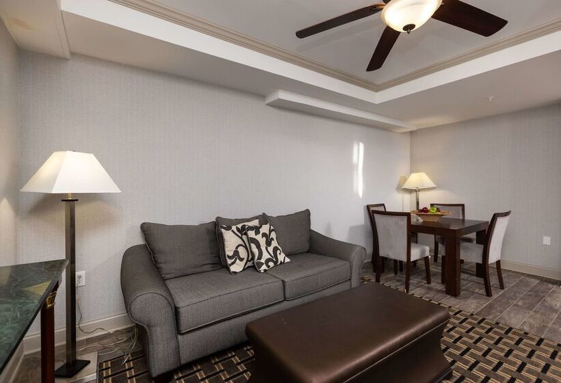 酒店 Inn At The Colonnade Baltimore A Doubletree By Hilton