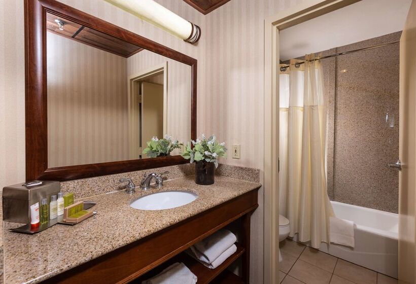 酒店 Inn At The Colonnade Baltimore A Doubletree By Hilton