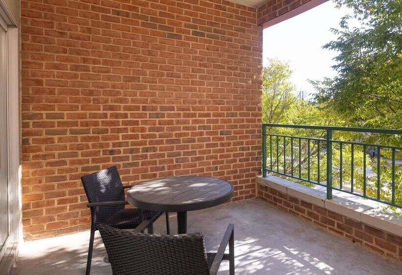 酒店 Inn At The Colonnade Baltimore A Doubletree By Hilton