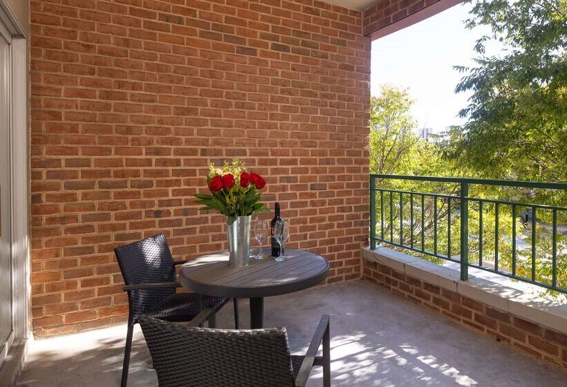 酒店 Inn At The Colonnade Baltimore A Doubletree By Hilton