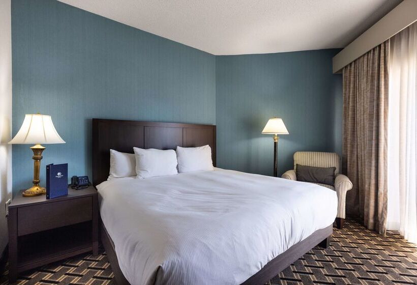 酒店 Inn At The Colonnade Baltimore A Doubletree By Hilton