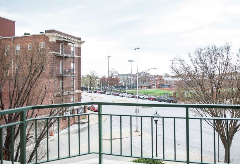 酒店 Inn At The Colonnade Baltimore A Doubletree By Hilton