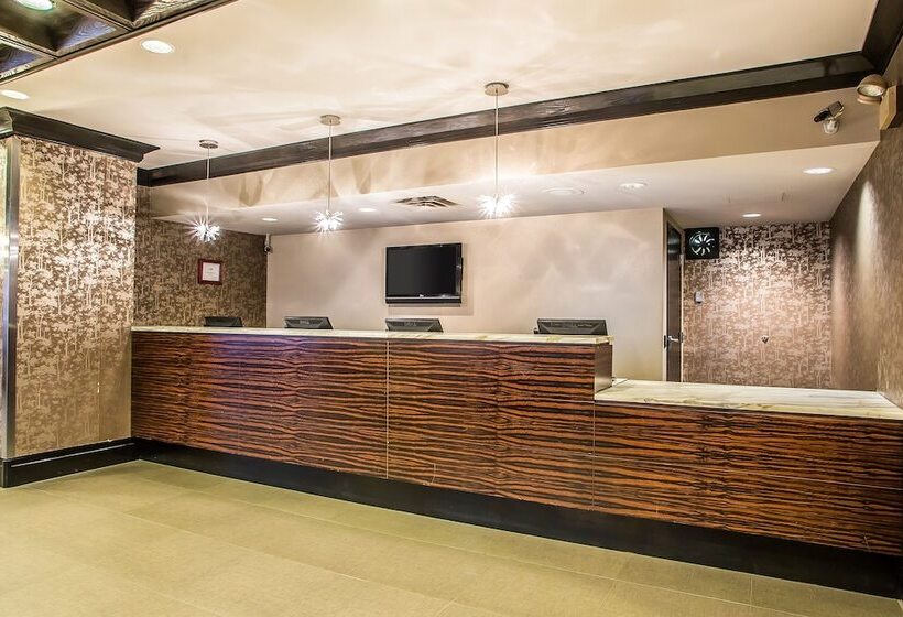 ホテル Inn Of Chicago