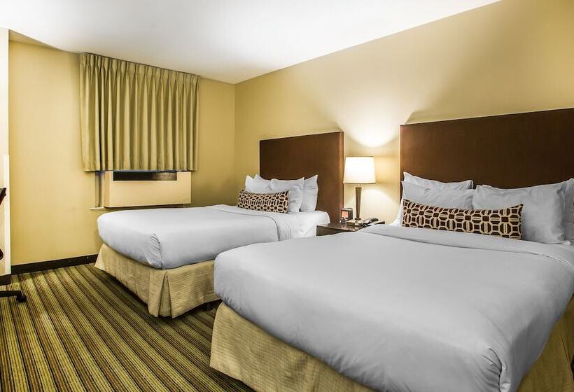 ホテル Inn Of Chicago