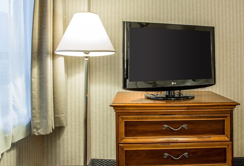 ホテル Inn Of Chicago