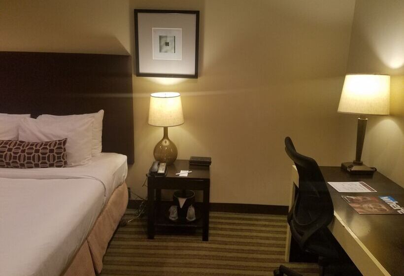 ホテル Inn Of Chicago