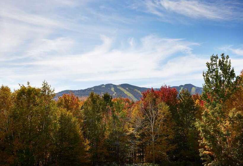 هتل Killington Mountain Lodge, Tapestry Collection By Hilton