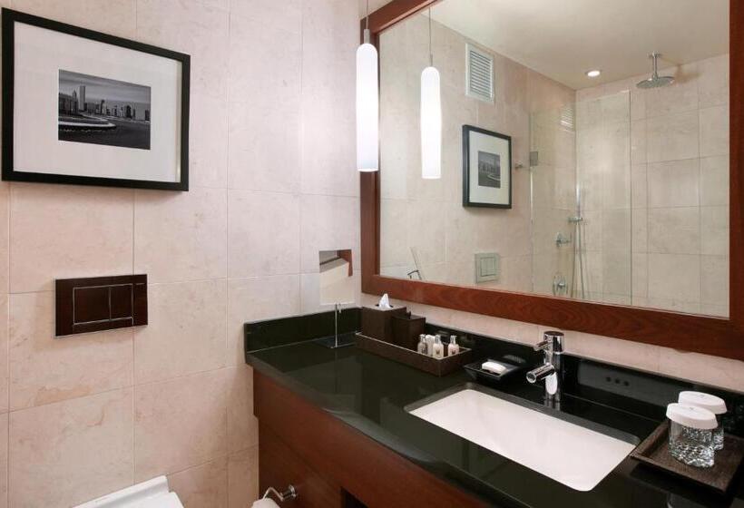 فندق Millennium Knickerbocker Chicago