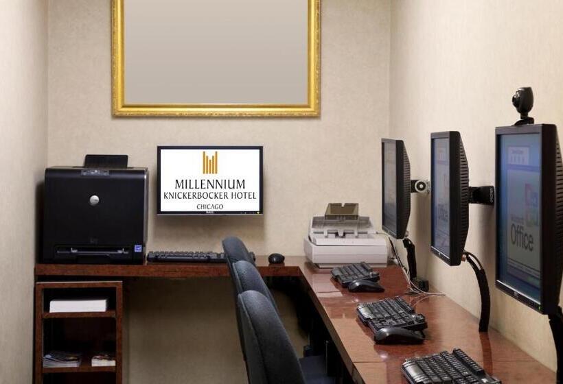 فندق Millennium Knickerbocker Chicago