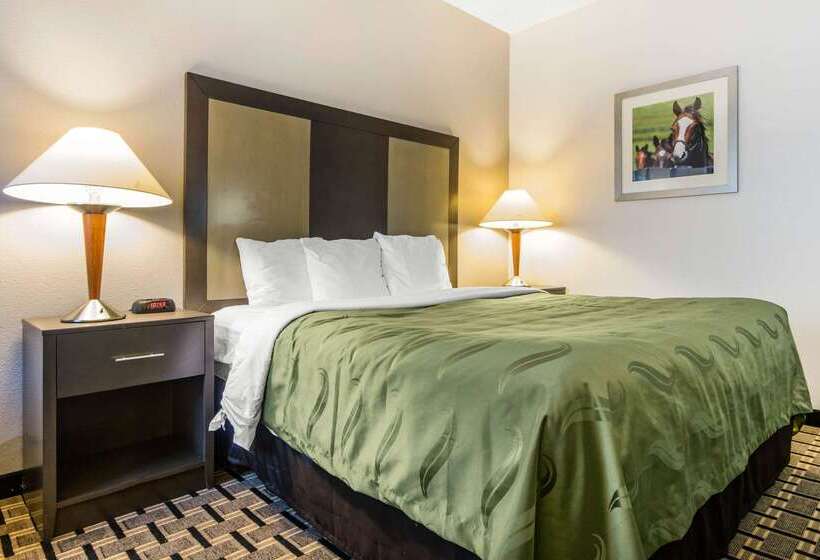 هتل Quality Inn Lexington East Hamburg Area