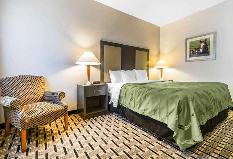 هتل Quality Inn Lexington East Hamburg Area